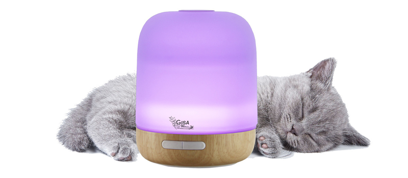 Product image: Gisa wellness - pandora - wood and glass diffuser, , medium-null