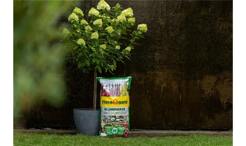 Floragard universal soil 20l, , medium image number null