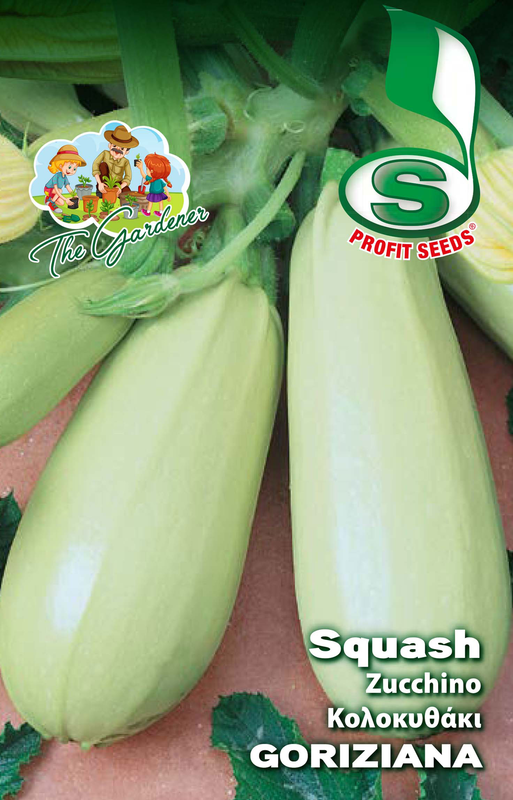 Hb white pumpkin goriziana 5gr, , medium-null