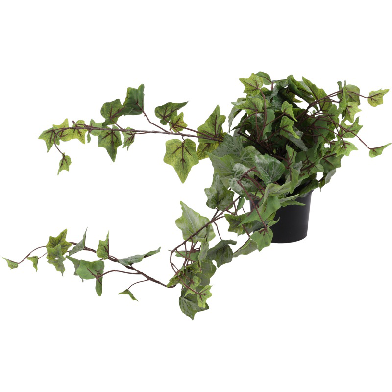 Hanging plant in pot 80cm - assorted designs, , medium-null