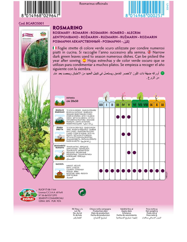 Zorzi bgaros001 rosemary, , medium-null