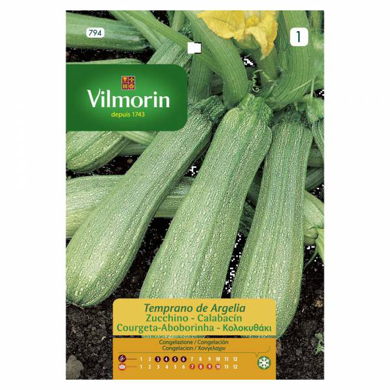 Vilmorin κολοκυθακι ασπρο, , medium-null