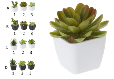 Plant succulent pp pot 12 assorted designs, , medium