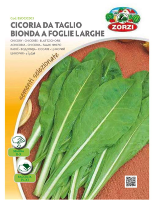 Zorzi bsocic003 lapato, , medium