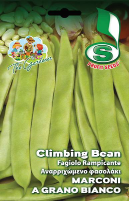 Climbing bean marconi a grano 50g, , medium