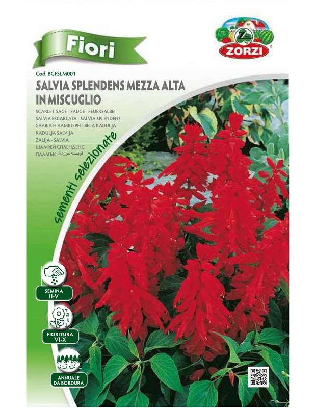 Zorzi bgfslm001 φλογες, , medium-null