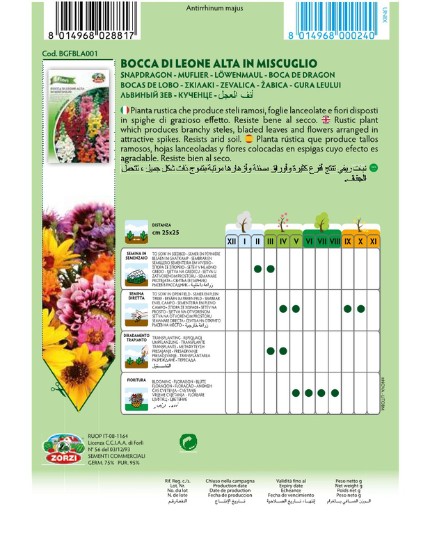 Zorzi bgfbla001 skilaki psilo, , medium-null