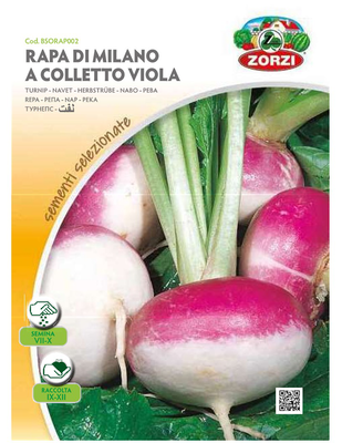 Zorzi bsorap002 reva dixromi, , medium