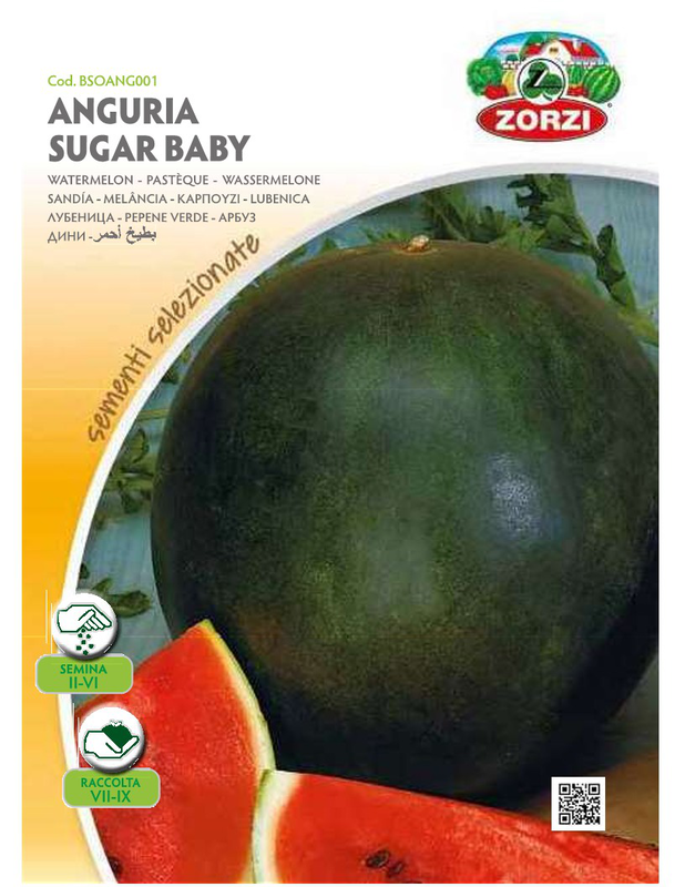 Zorzi bsoang001 καρπουζι maypo, , medium image number null