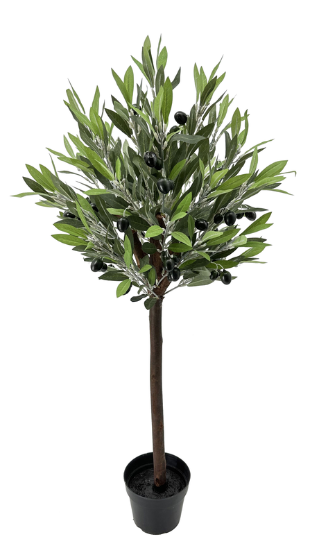 Product image: Olive tree 100cm, , medium-null