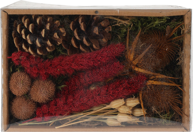 Αποξηραμενα λουλουδια mix in box red, , medium-null