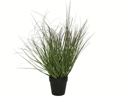 Grass in pot, , medium