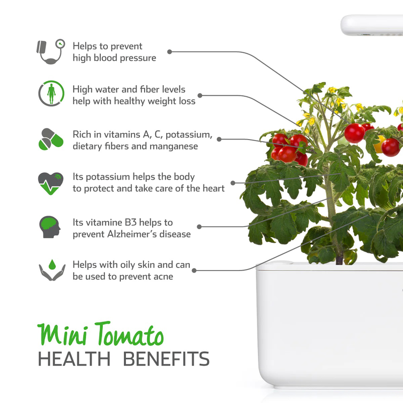 Click & grow sgr5x3 mini tomato plant pods 3pcs, , medium-null