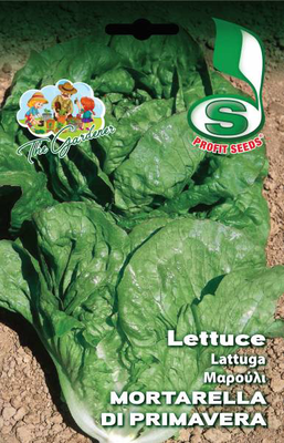 Lettuce mort.di primavera 10gr, , medium