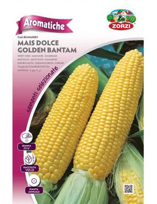 Zorzi bgamai001 kalampoki gliko, , medium