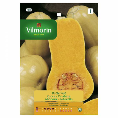 Vilmorin κολοκυθα