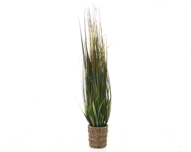 Grass in pot, , medium-null