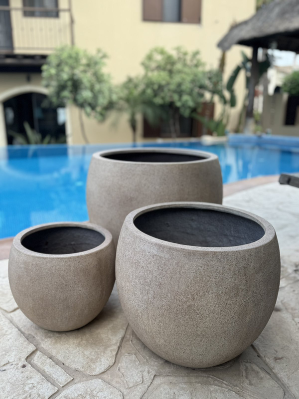 Bowl tera -small, , medium-null