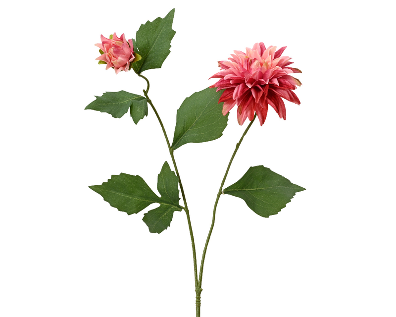 Dahlia on stem fuchsia, , medium-null