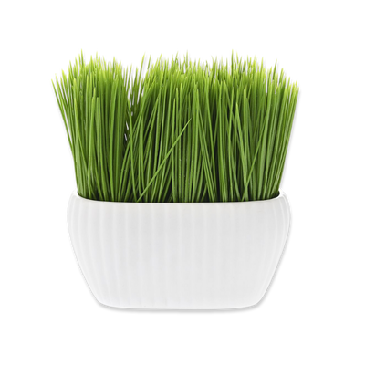 Ai green grass in white ceramic pot 12x6x15cm, , medium