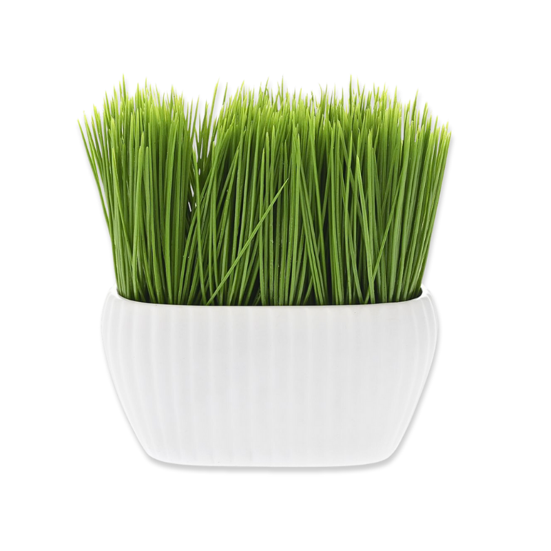 Product image: Ai green grass in white ceramic pot 12x6x15cm, , medium-null