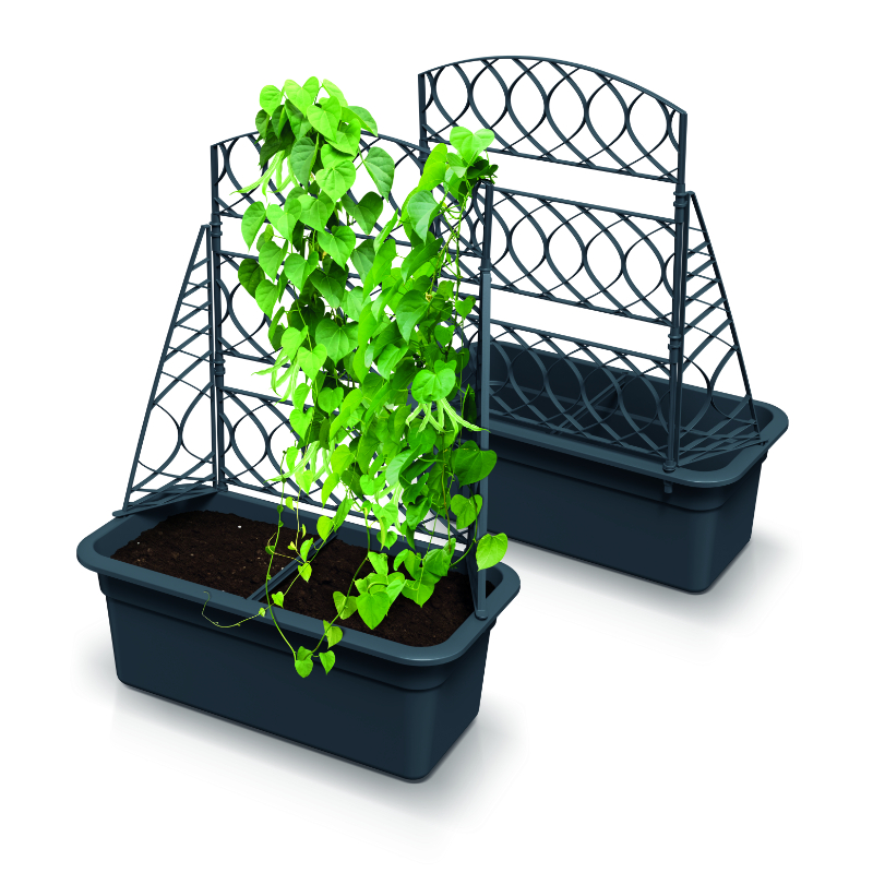 Prosperplast bloma pot and trellis 58x29cm - anthracite, , medium-null