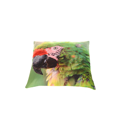 Cushion