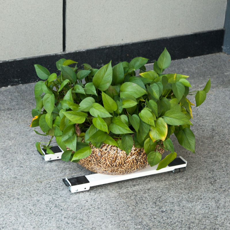 Diall &tau;&rho;&omicron;&chi;&eta;&lambda;&alpha;&tau;&eta; &beta;&alpha;&sigma;&eta; &sigma;&upsilon;&sigma;&kappa;&epsilon;&upsilon;&omega;&nu; 125kg &phi;&omicron;&rho;&tau;&iota;&omicron;, , medium-null