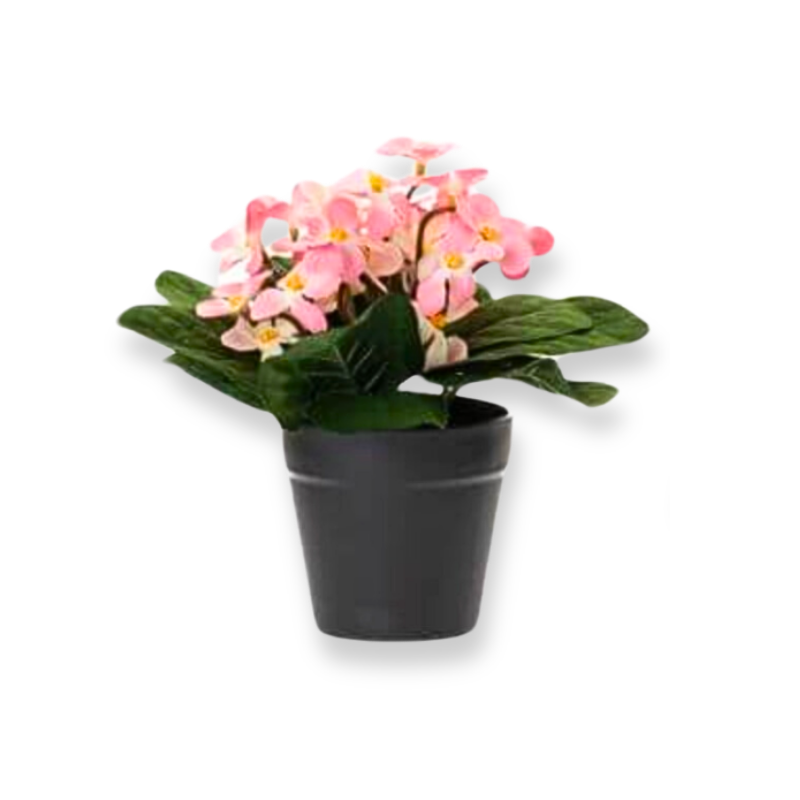 Product image: Ai artificial daisy flowers in plastic pot 20cm (available in 4 colours)-null
