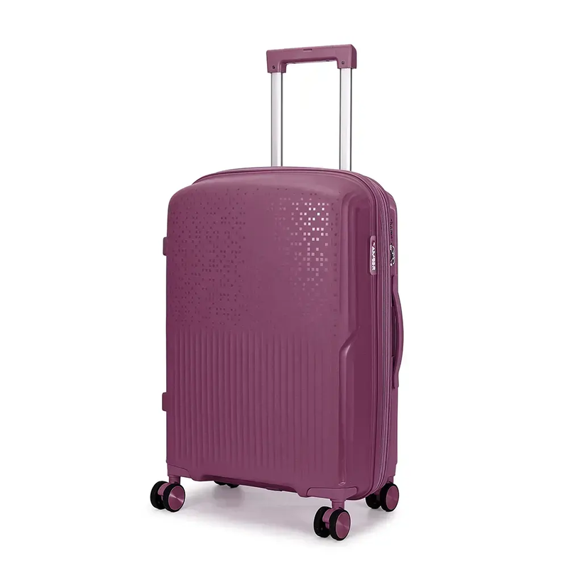 &Beta;&alpha;&lambda;ί&tau;&sigma;&alpha; &mu;&epsilon;&gamma;ά&lambda;&eta; &mu;&epsilon; &pi;&rho;&omicron;έ&kappa;&tau;&alpha;&sigma;&eta; amber 75cm m&omega;&beta; am1017-null