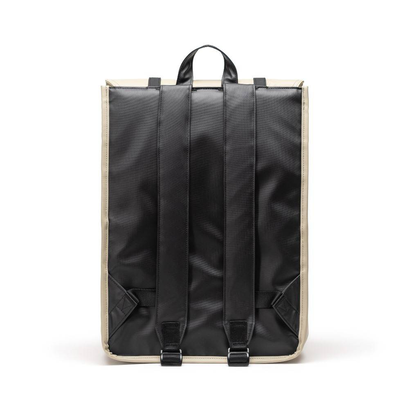 Survey backpack-null