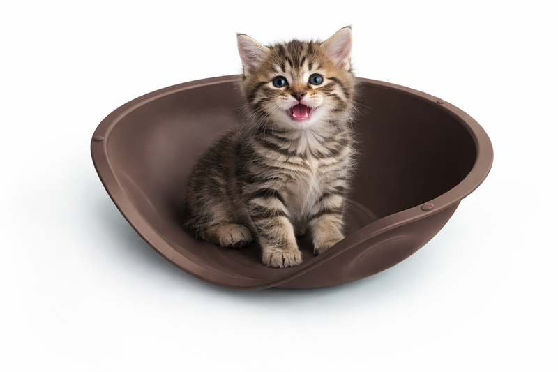 Bed for animals 57x48xh16cm - modern design-null