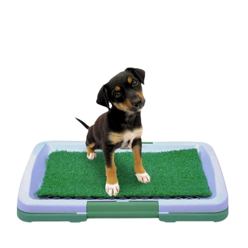 &Tau;&omicron;&upsilon;&alpha;&lambda;έ&tau;&alpha; &gamma;&iota;&alpha; &kappa;&omicron;&upsilon;&tau;&alpha;&beta;ά&kappa;&iota;&alpha; &mu;&epsilon; &gamma;&rho;&alpha;&sigma;ί&delta;&iota;, , medium-null