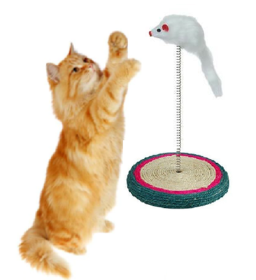 &Gamma;&omicron;ύ&nu;&iota;&nu;&omicron; &pi;&omicron;&nu;&tau;ί&kappa;&iota; &sigma;&epsilon; &epsilon;&lambda;&alpha;&tau;ή&rho;&iota;&omicron; &pi;&alpha;&iota;&chi;&nu;ί&delta;&iota; &gamma;ά&tau;&alpha;&sigmaf;, , medium