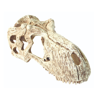 T-rex skull lg 17x8x9cm, , medium