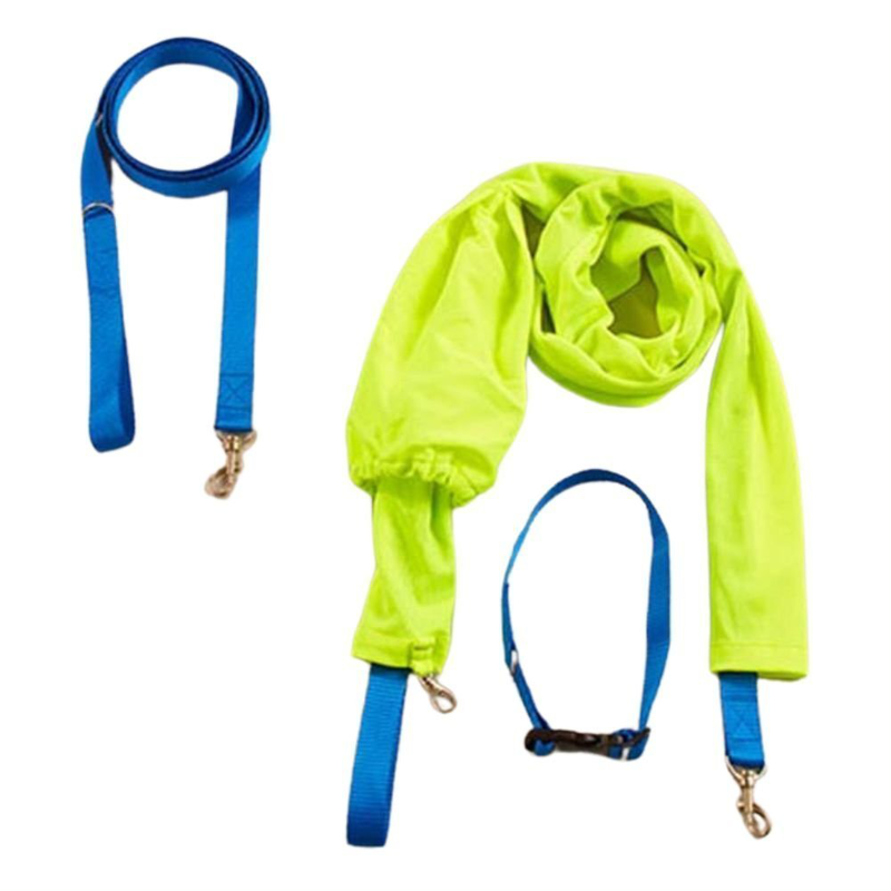 Glow n go &alpha;&nu;&tau;&alpha;&nu;&alpha;&kappa;&lambda;&alpha;&sigma;&tau;&iota;&kappa;ό &lambda;&omicron;&upsilon;&rho;ί &gamma;&iota;&alpha; &sigma;&kappa;ύ&lambda;&omicron;&upsilon;&sigmaf; &mu;&epsilon; &theta;ή&kappa;&eta; &kappa;&alpha;&iota; &kappa;&omicron;&lambda;ά&rho;&omicron; &sigma;&epsilon; &phi;&omega;&sigma;&phi;&omicron;&rho;&iota;&zeta;έ &chi;&rho;ώ&mu;&alpha;, , medium-null