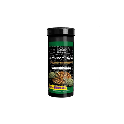 Haquoss gammarus, , medium