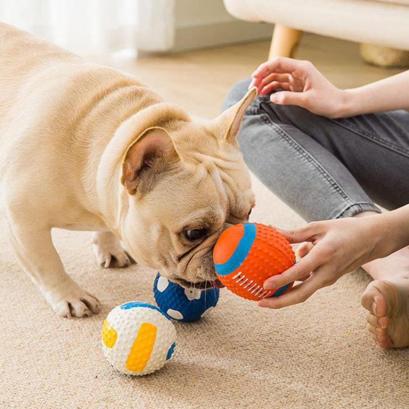 Squeaky ball toy for dogs-null