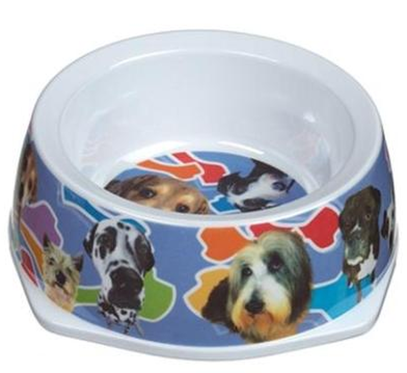 Product image: Camon melamine dog bowl 300ml, , medium-null