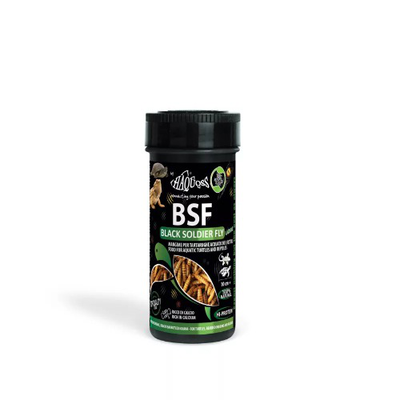 Haquoss black soldier fly larvae, , medium