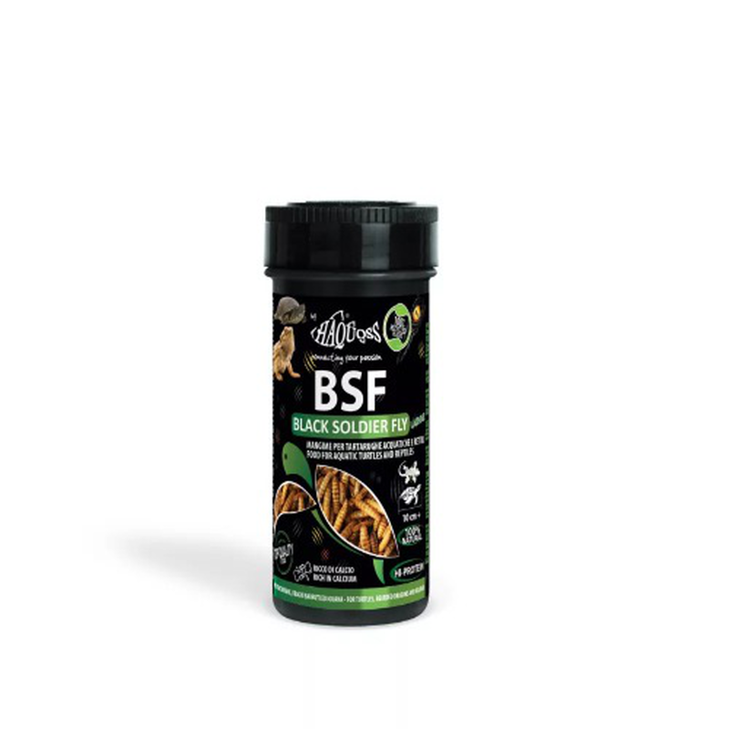 Haquoss black soldier fly larvae, , medium-null