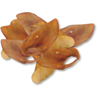 Mns pig ears 10 pieces, , medium