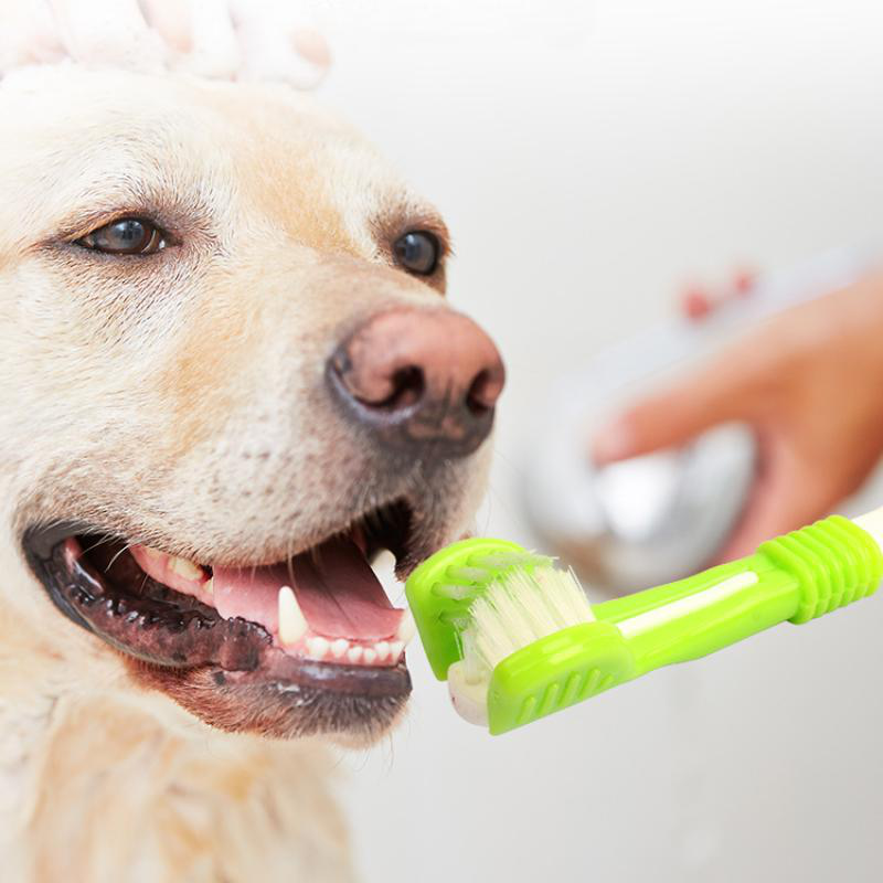 Petstar pet toothbrush with 3-sided head 2 pieces - assorted colors, , medium-null
