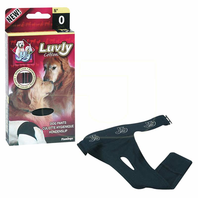 Flamingo jolly dog menstrual pant, , medium