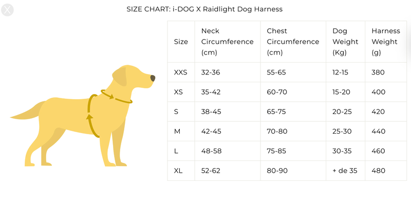 I-dog x raidlight - dog harness-null