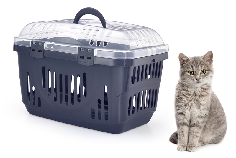 Vet pet carrier with top opening 49x33xh33cm-null