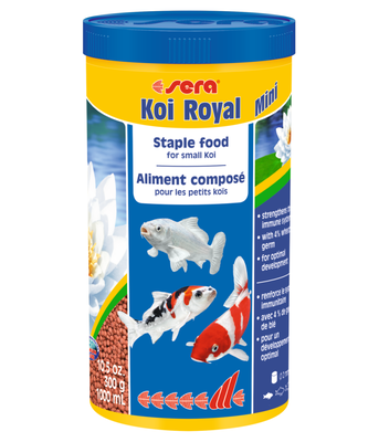 Sera &beta;&alpha;&sigma;&iota;&kappa;&eta; &tau;&rho;&omicron;&phi;&eta; &gamma;&iota;&alpha; &tau;&eta; &beta;&epsilon;&lambda;&tau;&iota;&sigma;&tau;&eta; &alpha;&nu;&alpha;&pi;&tau;&upsilon;&xi;&eta;, , medium