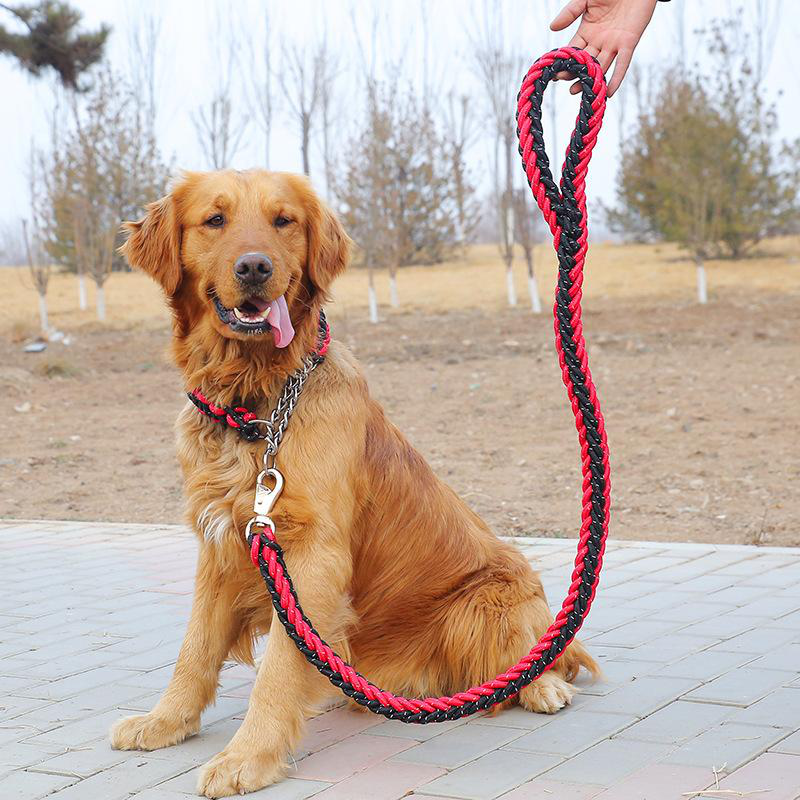 Product image: Thick rope dog leash with collar 130cm, , medium-null