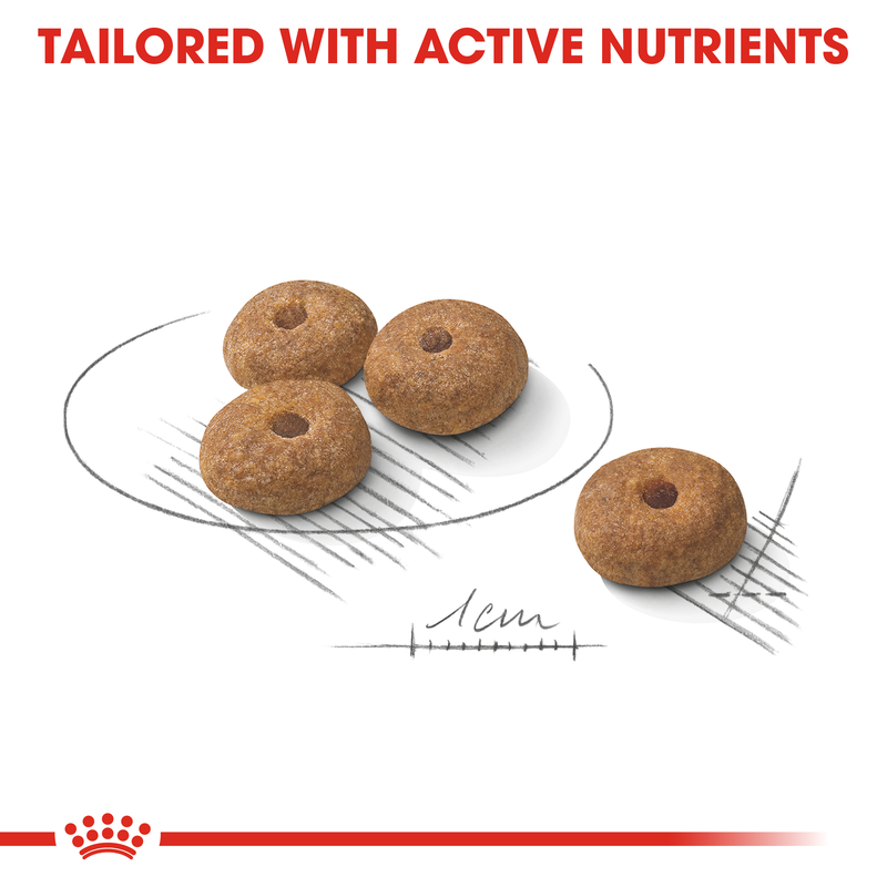 Royal canin mini sterilised adult 3kg-null