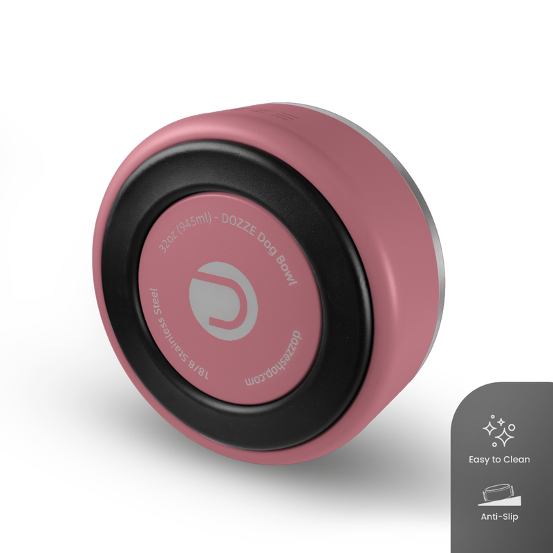 Dozze dog bowl-null